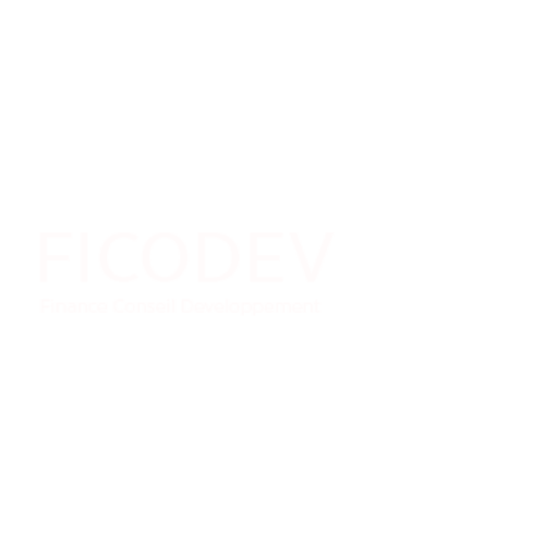 France Finance conseil développement